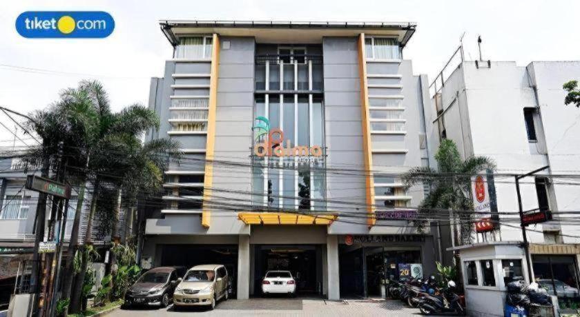 Hotel Dpalma